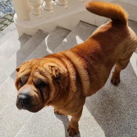 아파트 Downtown - Cal1 *