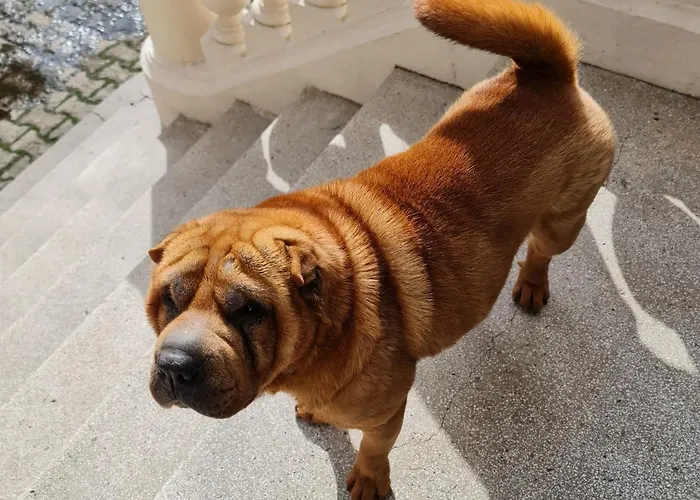 Apartamento Downtown - Cal1 *